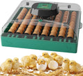 Incubators for Hatching Eggs, 72 Eggs Hatching Incubator with Automatic Egg Turner & Humidity Control & Digital Temp, 360° Clear View for Chicken/Duck/Quail/Goose, Perfect for Lab School Farm