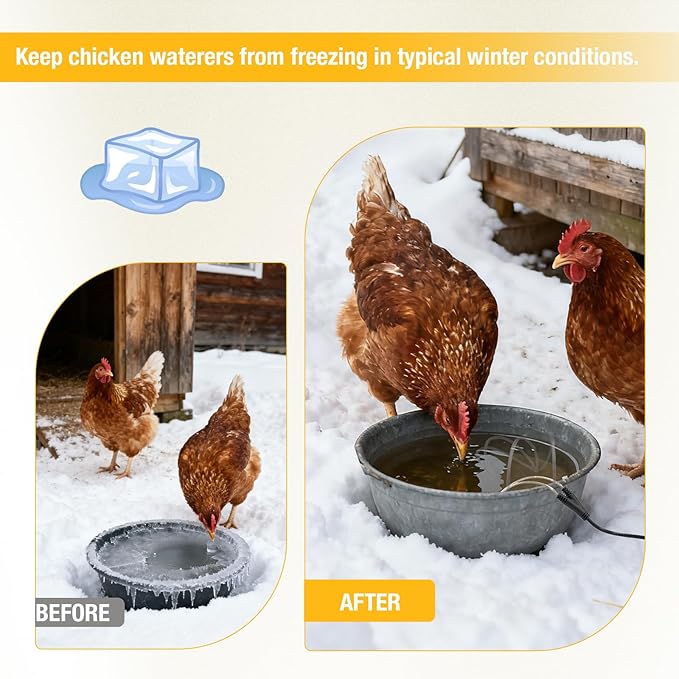 Chicken Water Heater Cord – Low-Watt Heated Chicken Waterer Cable for Winter, Safe Poultry Water Heating for Chickens, Ducks & Small Animals (1 Pack, Waterer Not Included)