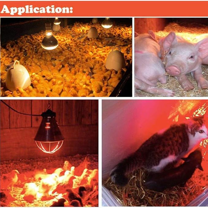 Infrared Heat Lamp Waterproof Anti-Explosion Light Bulb for Piglet Chicken Duck Birds(250w,120v)