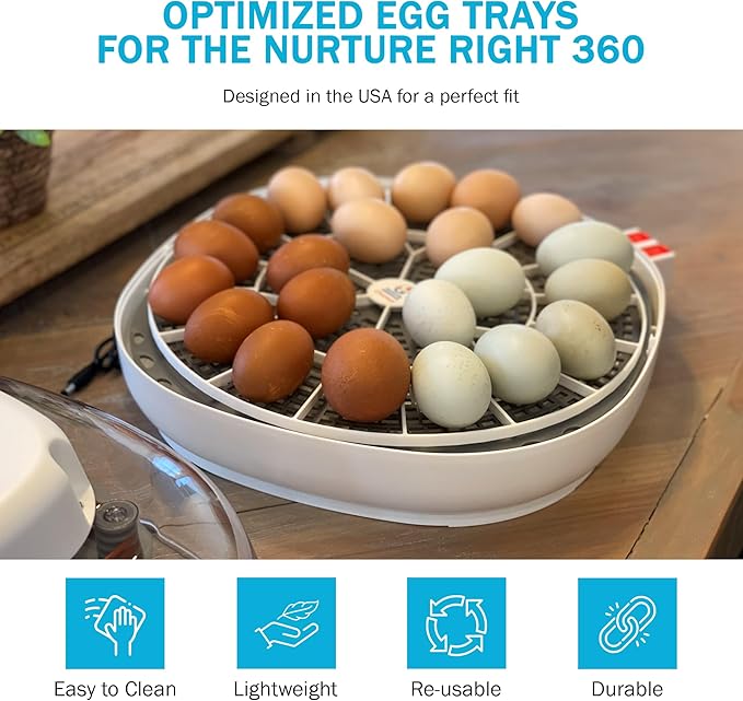 Incubator Warehouse Egg Trays for 22 Medium (Chicken) Eggs - Durable Egg Tray for Nurture Right 360 Egg Incubator - Hand Washable Eggs Keeper for Chicken Goose Turkey Emu (Various Sizes)