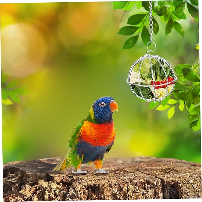 GALPADA 4pcs Stainless Steel Hanging Chicken Vegetable Feeder Shape Poultry Treat Holder for Hens Parrots and Animals Easy to Install Keeps Food Fresh