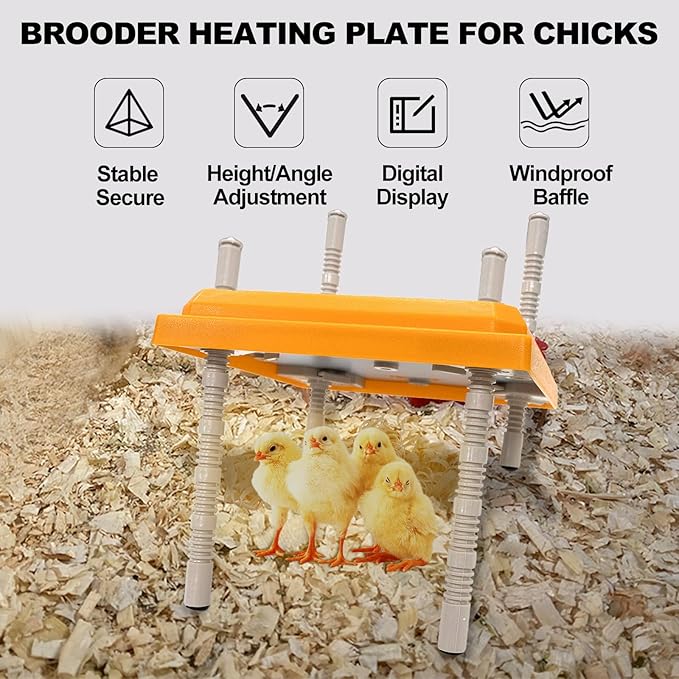 Brooder Heater for Chicks - Chick Brooder Plate with Adjustable Temperature Height Adjustable Chick Warmer for 12 Chicks Heater