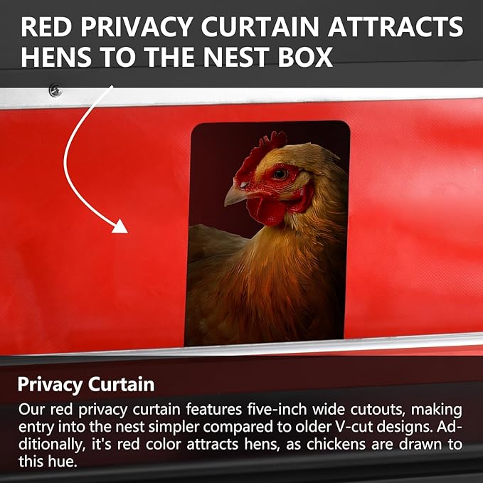 Nesting Boxes for Chickens - 24" Chicken Nesting Box - Reversable Egg Mount Roll Away Nesting Box - Roost Bar Nesting Boxes - Up to 20 Hen Chicken Laying Boxes - Nesting Boxes for Chicken coop