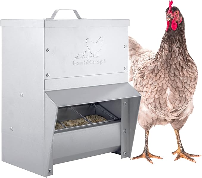 RentACoop Metal Trough Feeder with Lid - Outdoor Use, Rainproof - Suitable for Chicken, Bantams, Poultry, Pheasants, and Turkey - 10lb Capacity