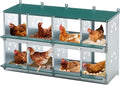 3/4/6/8/10 Holes Chicken Nesting Box for Chickens Hens Ducks, Metal Nesting Boxes for Chickens Wall Mount Egg Laying Nesting Boxes for Chicken (Green, 8 Hole)