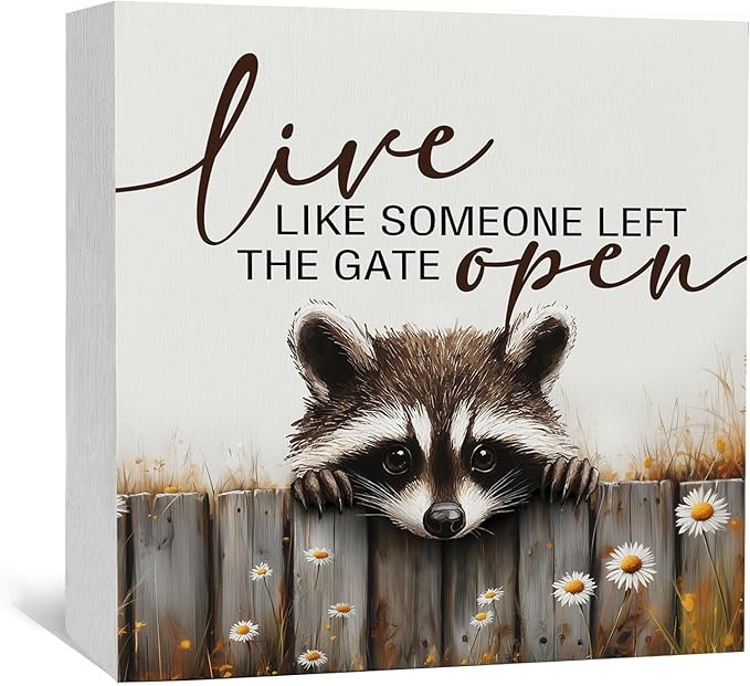 Raccoon Sign - Live Like Someone Left The Gate Open Wooden Box Signs, Raccoon Decor, Farmhouse Trash Panda Wood Decoration Home Decor For Desk Table Shelf 5x5 Inch