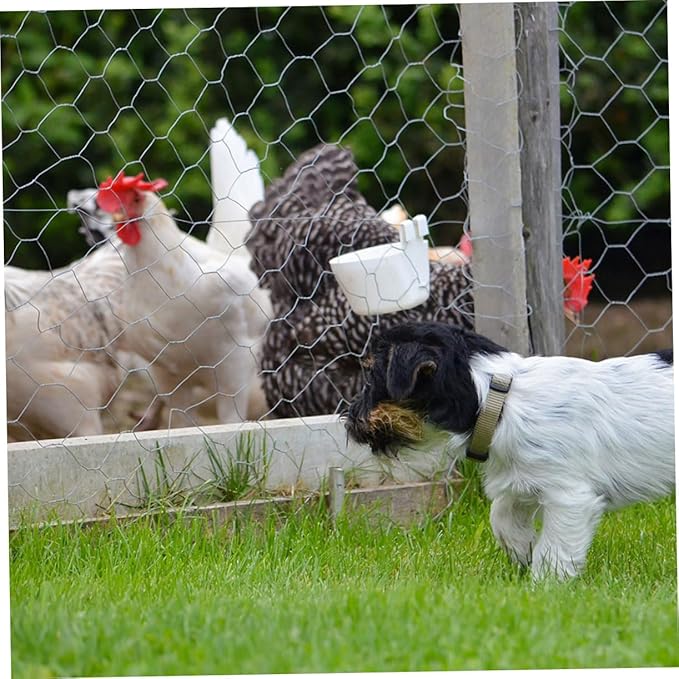1 Roll Galvanized Wire Fence: 15.7inch X 13.1ft Heavy Duty Mesh for Chicken Coop - Farmhouse Poultry Netting - Bird Deer Barrier for Garden