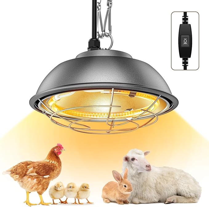 350 Watt Heat Lamp for Chickens - Chtoocy Chicken Coop Heater with Carbon Fiber Bulb, 5.2FT Thickened Power Cord & Chicken Heat Lamp with 2 Temperature Adjustable (175/350W) for Chicks, Ducks and Pets