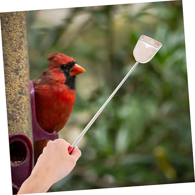 BESPORTBLE 2pcs Bird Cage Cleaning Brush Set Pet Bird Cage Cleaning Tools Brush Shovel for Stain Droppings Removal