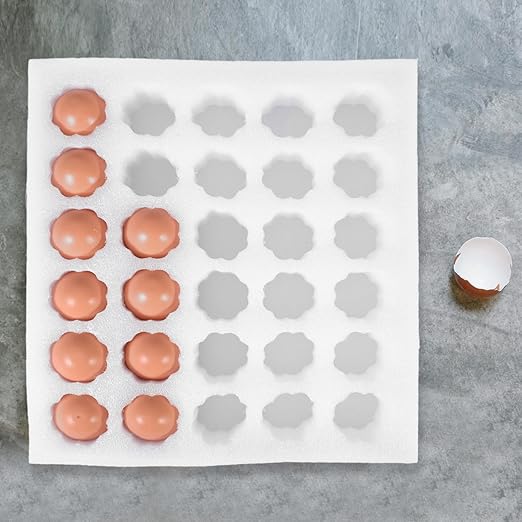 Egg Protection Tray Foam Egg Carrier for Safe Transport Reusable Storage Container for Supermarkets and Homes Holds White Trays Pads