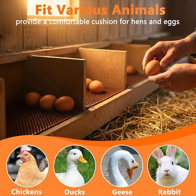 INNOLAND 6 Pack Chicken Nesting Pads, Reusable Nesting Pads for Chicken Coop, 12"x12" Plastic Laying Box Pads, Washable Nesting Box Pads for Chicken Coop Accessories