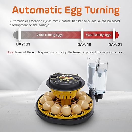 Automatic Egg Incubator, Auto Egg Turner,Temperature Smart Control, Humidity Display, Egg Candler, Hatching Chicken Duck Goose Eggs (12 Egg Incubator)