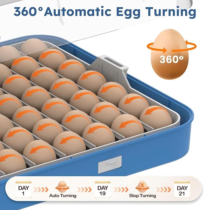70 Egg Incubator with Automatic Turning & Humidity Control – Digital Poultry Hatcher for Chicken, Duck, and Quail Eggs – Auto Humidification & Temp Regulation for Farm, School & Lab Use