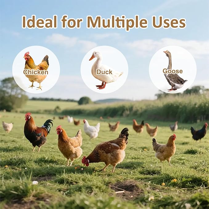 2 Pack Chicken Oyster Shell Feeder and Grit Feeder, Large Hanging Metal Chicken Feeder with Lid, Automatic Gravity Poultry Chicken Feeder No Waste, Chicken Coop Accessories