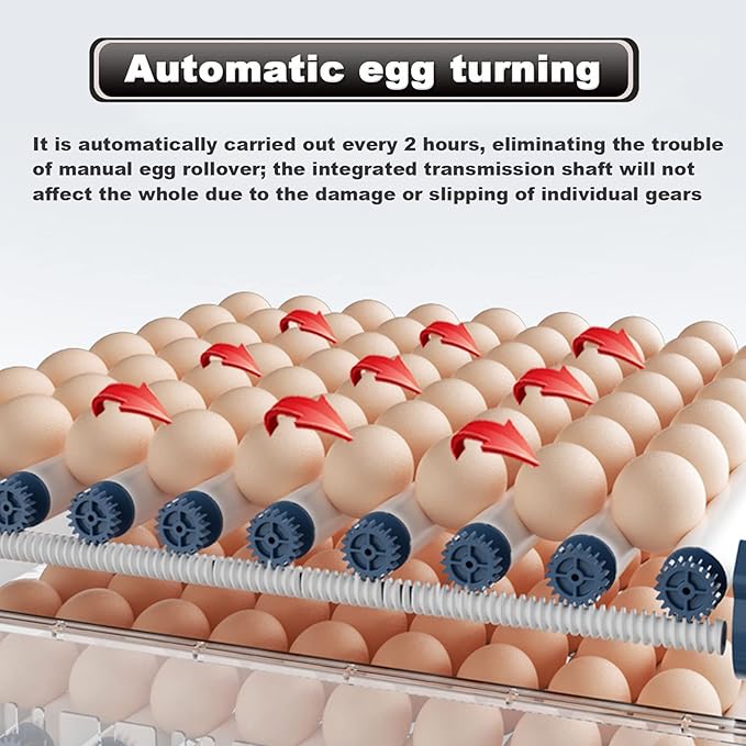 Home Incubator Egg Brooding Machine Chicken Incubator, 98-256 Eggs Incubator Automatic Turning and Hatching, Digital Incubator with Temperature Control, 192