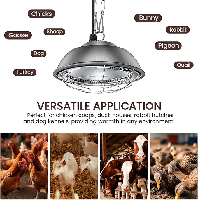 350 Watt Heat Lamp for Chickens - Chtoocy Chicken Coop Heater with Carbon Fiber Bulb, 5.2FT Thickened Power Cord & Chicken Heat Lamp with 2 Temperature Adjustable (175/350W) for Chicks, Ducks and Pets