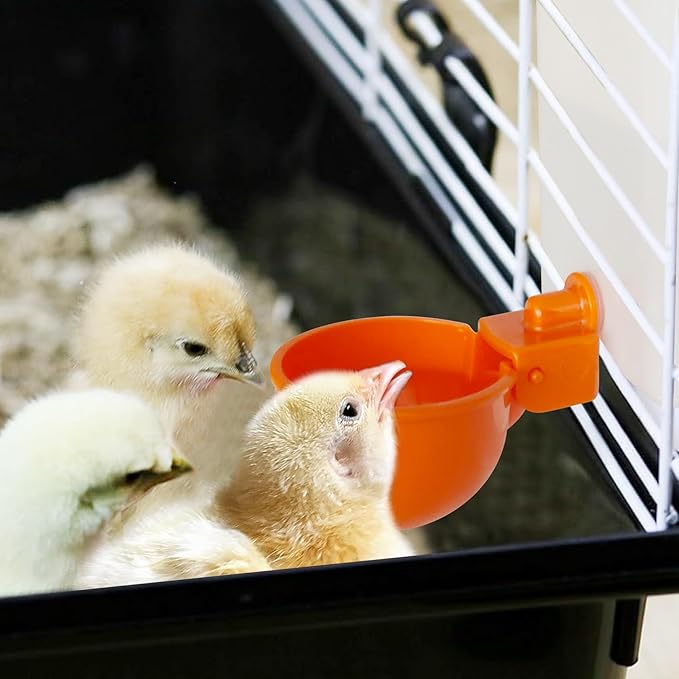 Automatic Waterer System Chick Drinker Cups 1L Hanging Automatic Fill Poultry Watering Cup Used for Cage (White, 2)
