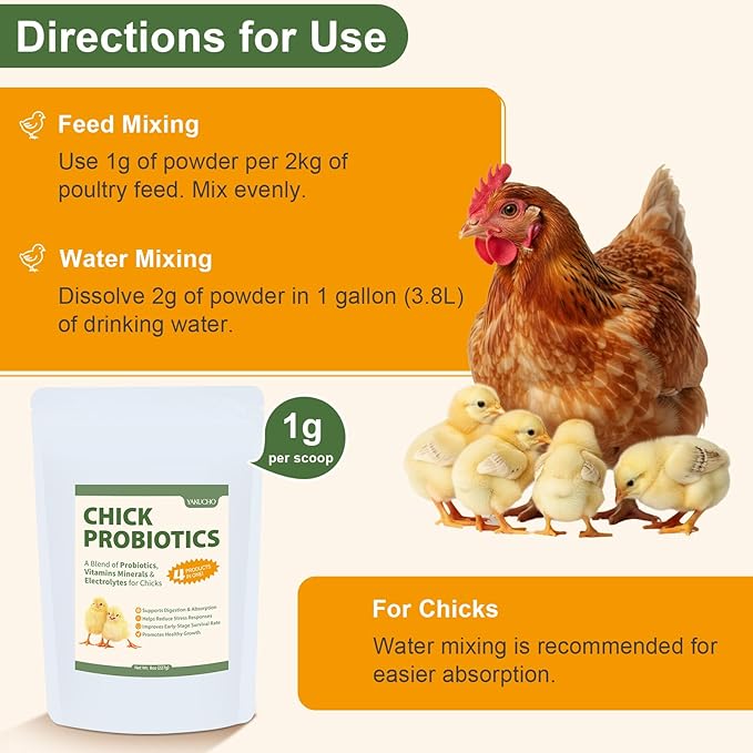 Chick Probiotics Powder, 4-in-1 Poultry Nutrition with Probiotics Vitamins Minerals & Electrolytes, Supports Digestion Hydration & Healthy Growth for Chicks, Poultry Nutrient Boost Supplements Feed
