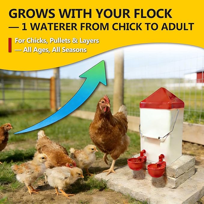 Hanging Chicken Waterer, 1 Gallon PVC Chicken Waterer with 2 Auto-Fill Cups & Horizontal Nipples, Hooks for 15mm×15mm+ Mesh, Suitable for Chicks, Chickens, Quail, Pigeons & Gamebirds