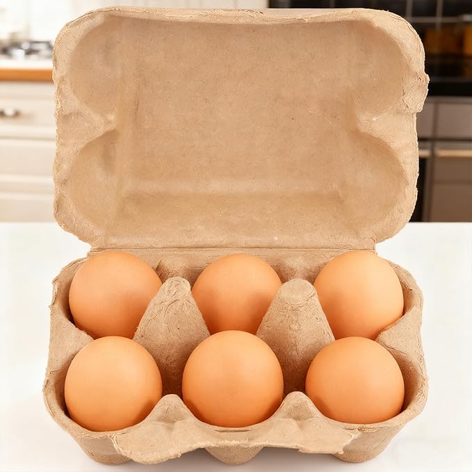 50 Pack Thick Shockproof Egg Cartons in Bulk, Half Dozen Paper Pulp Egg Crates for Home Farm Market Use