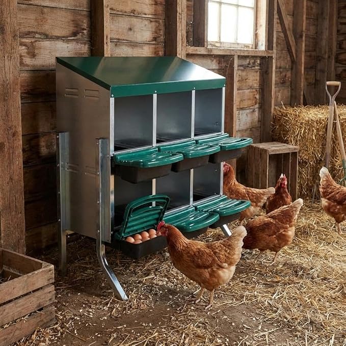 Chicken Nesting Boxes for Chickens, 6 Compartments Metal Roll Away Nest Box with Legs for Chicken Coop, Eggs Laying Boxes with Removable Lid, 2 Layer for Chicken Coops, Duck Coops and Hens, Green
