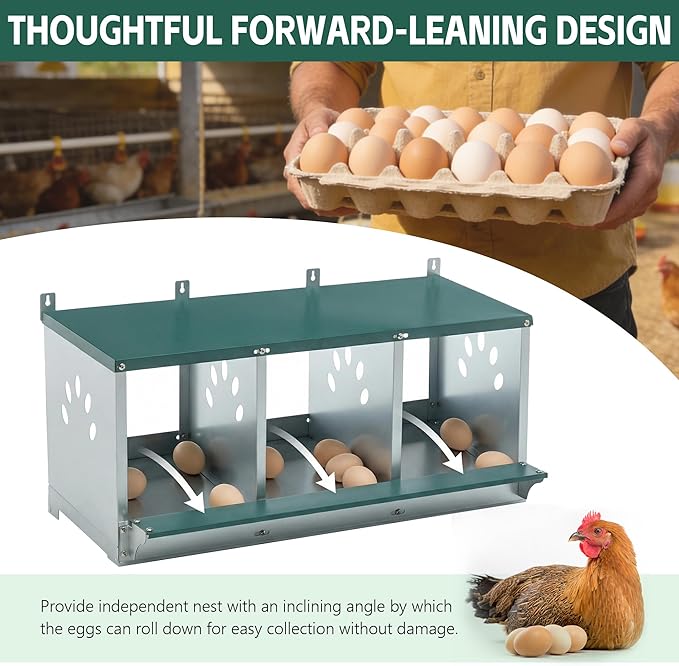 3/4 Compartment Chicken Nesting Boxes, Metal Wall Mount Chicken Egg Laying Box with Roll Out Egg Collection, Galvanized Steel Chicken Nesting Box for Laying Hens, Easy to Clean & Assemble (3-Hole)