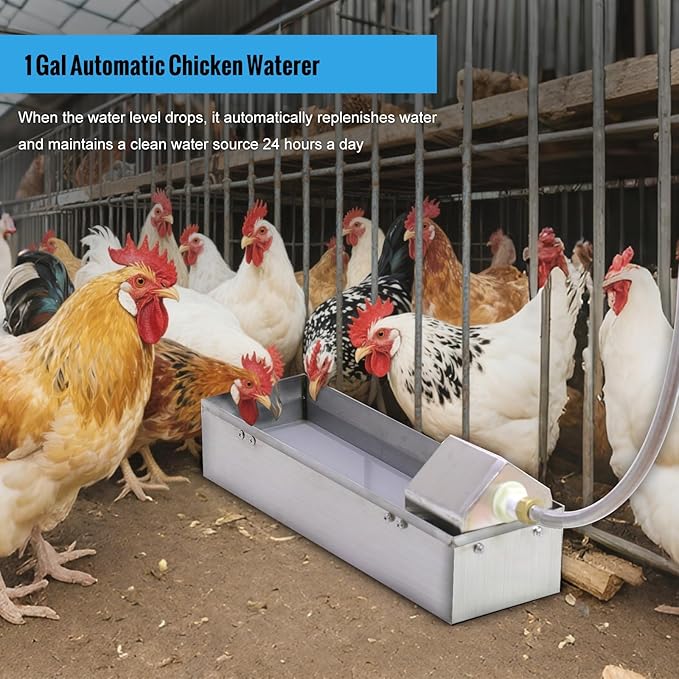 Automatic Chicken Waterer Dispenser 1 Gallon Large Stainless Metal Poultry Waterer Feeder Hanging Chicken Watering System with Float Valve Hose Kit for Pigeon Duck Goose Turkeys for Chicken Coop
