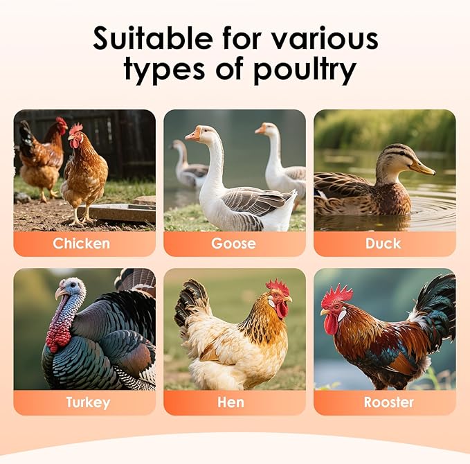 15lbs Automatic Chicken Feeder - 10 Feeding Ports, No Waste Poultry Feeder Large Feeding Though Dispenser for Chickens Duck Turkey Pheasant Chicken Coop