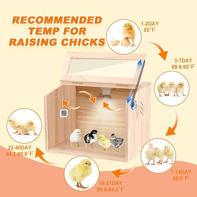 Chick Brooder Box,Brooder Box for Chicks,16" Lx12 Wx12 H, Ducks,Chicken Coop,Quail cage,2 Washable Liners,Adjustable Temperature Control.