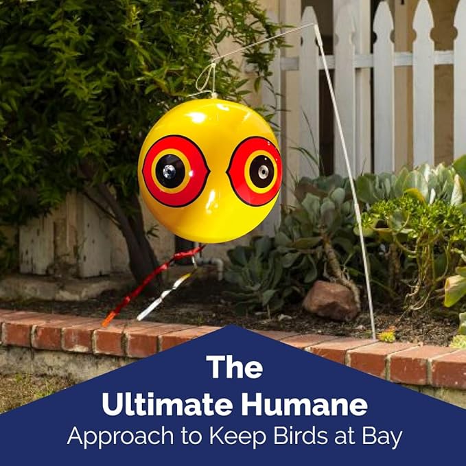 Bird-X SE-Pack Visual Decoy, 3 Count (Pack of 2), Yellow, Black, and White