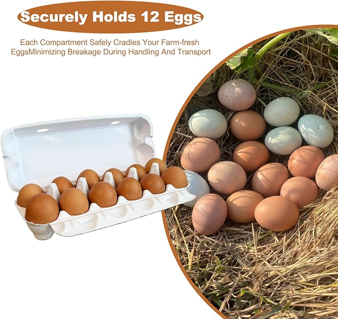 Reusable Pulp Egg Carton,12-Count Storage Container, Farm Fresh Egg Holder for Countertop, Chicken Egg (50, white, 2 * 6)