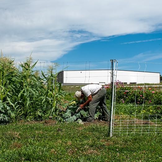 Premier 1 VersaNet® Plus, 60"H x 100'L Electric Garden Fence Starter Kit | 2" Strand Spacing at Bottom Keeps Varmints Out | Includes: Solar Energizer, FiberRod Support Posts and Tester | Green/Black