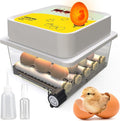 OBI-12 Egg Incubators for Hatching Eggs – Incubator for 12 Eggs with Automatic Egg Turner - Brooder for Chicken Eggs, Quail, and Duck Eggs - Yellow