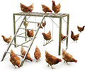 Heavy Duty Metal Chicken Perch with Swing & Ladder - Multi-Level Roosting Bars for 8-10 Chickens - Exercise Playground & Coop Accessory - Silver-Gray