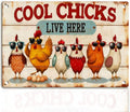 Chicken Metal Decor Sign Vintage Metal Tin Sign Wall Art Decor Cool Chicks Live Here Chicken Coop Signs Accessories for Outdoor Decorations Gifts for Women and Hen Lovers 8 X 12 Inch