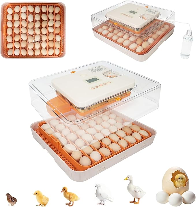 Series IV - 56 Egg Professional Incubator for Breeders, Automatic Sensor-Based Precise Humidity & Temp Control, Adjustable Egg Spacing, Auto Turn & Auto Stop, Preset Incubation Days, Chick Separator