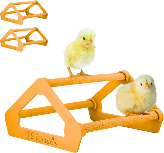 Roosting Perch for Baby Chickens, Chick Brooder Coop Training Toy Accessory, Easy Click Together Assembly, Durable Plastic, Mix and Match Colors, USA Made (Orange, 3 Pack)