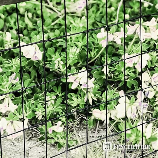 Fencer Wire 16 Gauge Green Vinyl Coated Welded Wire Mesh Size 2 inch X 3 inch, Black, 3x50 ft
