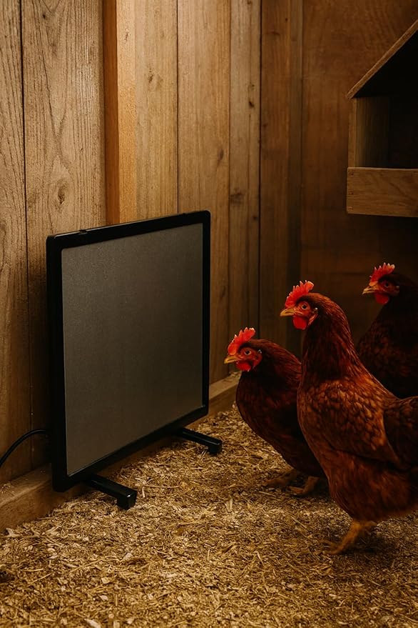 My Favorite Chicken Radiant Chicken Coop Heater – 100-Watt Flat Panel Heater for Chickens, Energy-Efficient Chicken Coop Heater for Winter, Safe Radiant Heat Panel