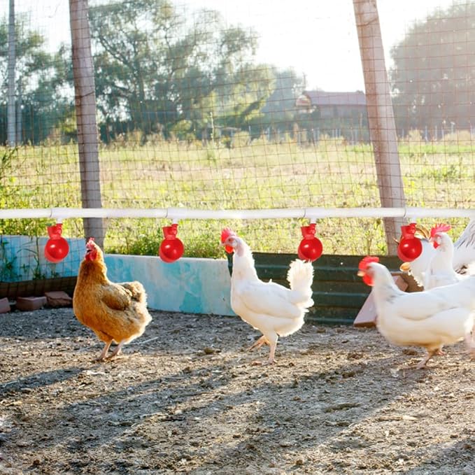 12 Pack Large Automatic Chicken Waterer Cups, Plastic Chicken Water Feeder Chicken Water Bowls Poultry Water Feeder Kit for Chicks, Duck, Goose, Turkey and Bunny