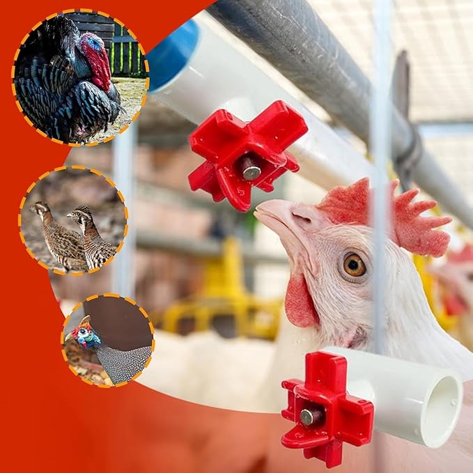 Automatic Chicken Waterer for Ducks Quail Bird Outdoor, Plastic Chicken Water Feeder Bowls Poultry Water Feeder Kit for Chicks, Duck, Goose, Turkey and Bunny (White and Red, 20 Pack)