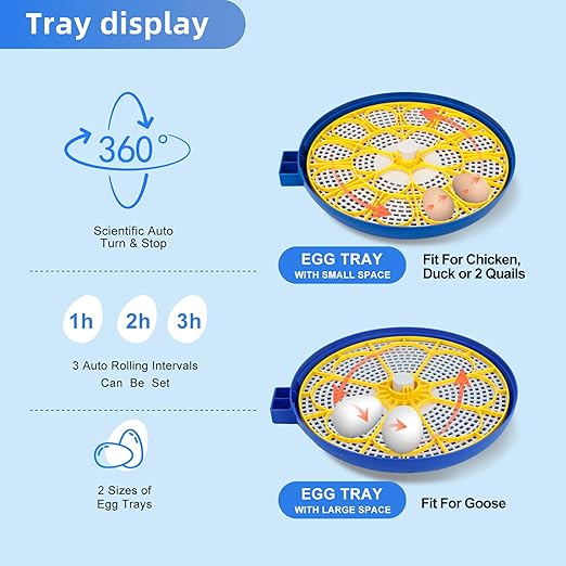18 Egg Incubator for Hatching Chicken, Duck, Quail Eggs – 360° Visible Lid, Automatic Turning & Humidity Control, Built-in Egg Candler – Ideal for Home & Classroom Science Projects