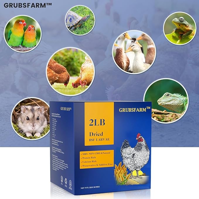 GRUBSFARM 2LB Dried Black Soldier Fly Larvae – Natural Non-GMO Chicken Treat for Adult Poultry, Molting and Laying Supplement,Resealable Bag in Retail Box