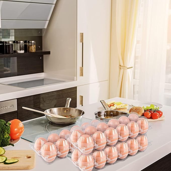 120Pack Egg Cartons Cheap Bulk Empty Egg Cartons Egg Holders for Home Ranch Chicken Farm, Commercial Business Market Display, 2x6 Grids, Large