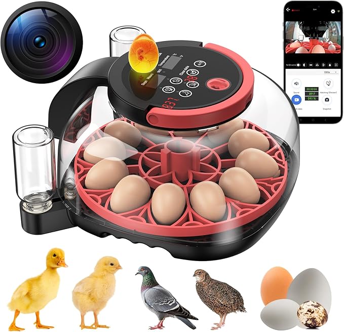 12 Egg Incubator with Camera, Humidity and Temperature Control, APP, Egg Candler, Automatic Egg Turner, 360° Clear View, Smart Incubators for Hatching Eggs, Chicken, Duck, Pigeon and Quail