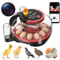 12 Egg Incubator WiFi with Camera, Humidity and Temperature Control, APP Notification, Egg Candler, Automatic Egg Turner, Smart Incubators for Hatching Eggs, Chicken, Duck, Pigeon and Quail