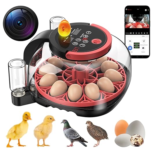 12 Egg Incubator WiFi with Camera, Humidity and Temperature Control, APP Notification, Egg Candler, Automatic Egg Turner, Smart Incubators for Hatching Eggs, Chicken, Duck, Pigeon and Quail
