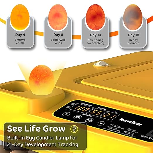216 Egg Incubator for Hatching Eggs with Fully Automatic Egg Turning, Humidity Control by Bottles, Incubators for Chicken, Ducks, Quail, and Other Poultry Eggs, 360° View with Clear Window