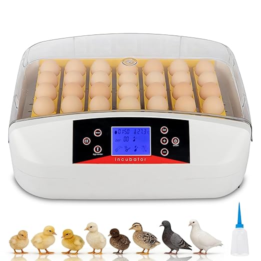 Winado Incubators for Hatching Eggs, 41 Egg Incubator with Automatic Egg Turning & Temperature Control, Egg Candler, and Day Counter for Chicken, Duck, and Quail Eggs Hatching