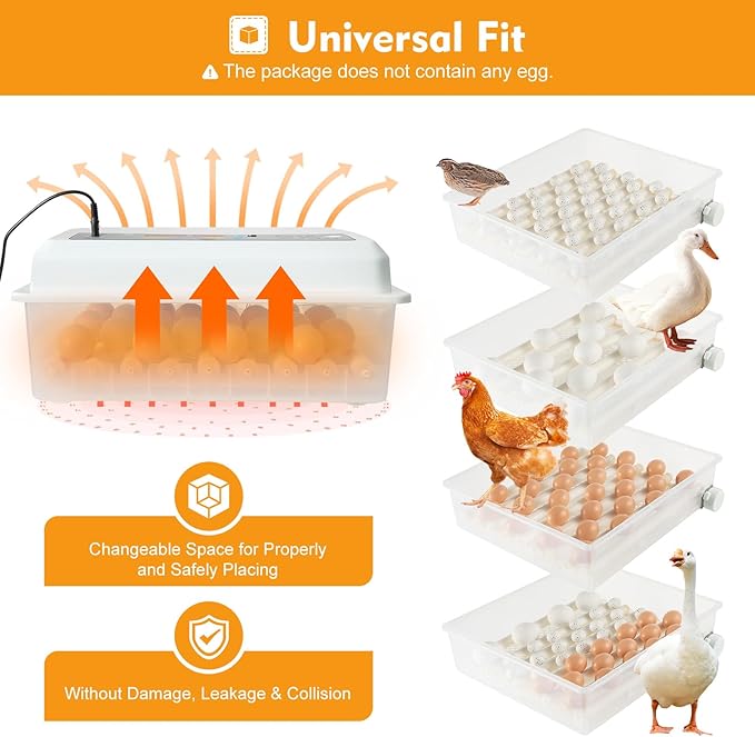 64 Egg Incubator Single Layer 3-in-1 Dual Power Digital Automatic Egg Turner with Temperature Control for Chicken Duck Goose Quail Eggs